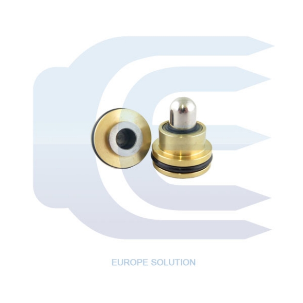 Plunger for HITACHI EX200-1 000009756