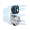 Tensioner for HYUNDAI R140W R170W XKDE-01492