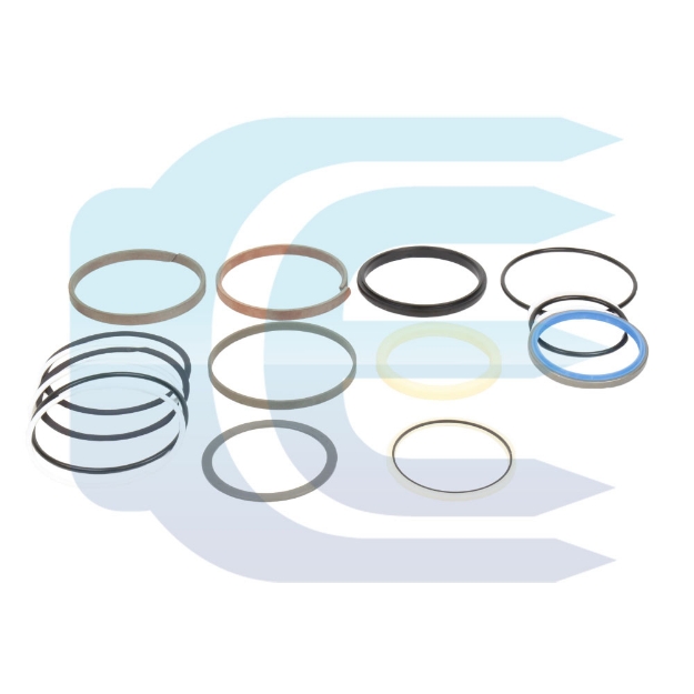 Hydraulic Cylinder Seal kit for CASE CX330 CX350 LZ007310 Hydraulinio cilindro rieboksliu komplektas