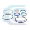 Cylinder Seal kit for NEW HOLLAND CASE B95 LB95 B110 87428634 cilindro remontinis rieboksliu komplektas