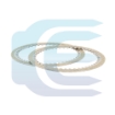 Brake Friction Disc for CASE 9010 CX130 160996A1 stabdziu frikcinis diskas