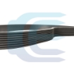 Generatoriaus diržas skirtas VOLVO 8PK1275 VOE20412534 20412534